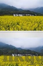 日韩无毒av图片大全-日韩无毒AV图片大全，艺术与文化的双重探索