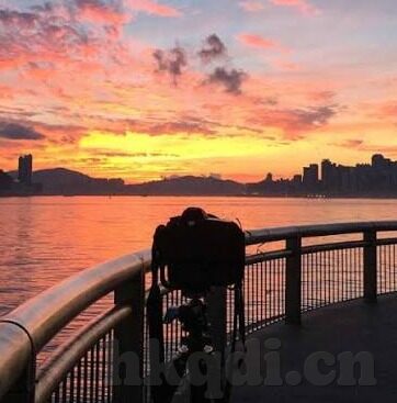 糖心vlogapp官网入口ios-甜蜜探索，糖心Vlog App在iOS平台上的独特魅力